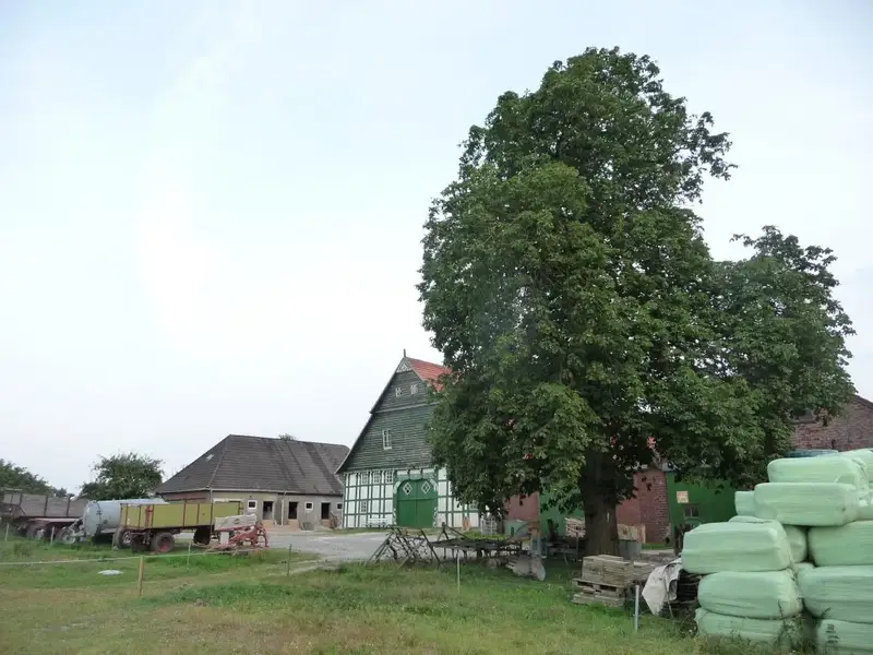 Rückansicht von Hof Abing
